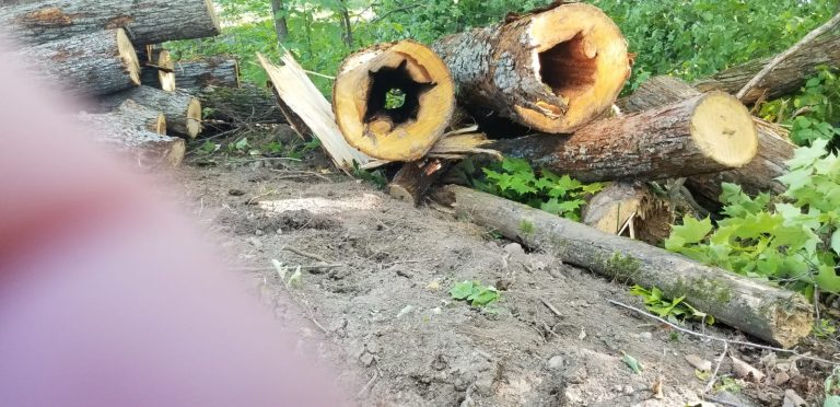 WhatsApp Image 2020-09-18 at 7.42.55 PM