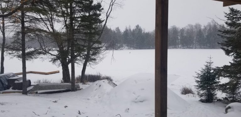 WhatsApp Image 2020-12-20 at 12.55.36 PM