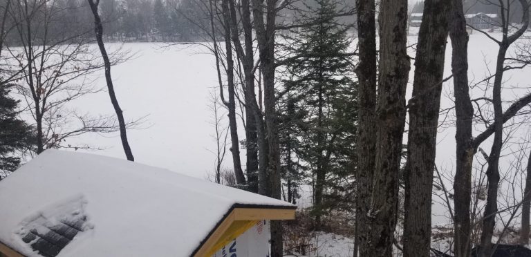 WhatsApp Image 2020-12-20 at 12.57.46 PM