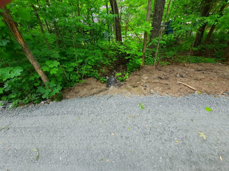 WhatsApp Image 2021-06-05 at 2.30.54 PM