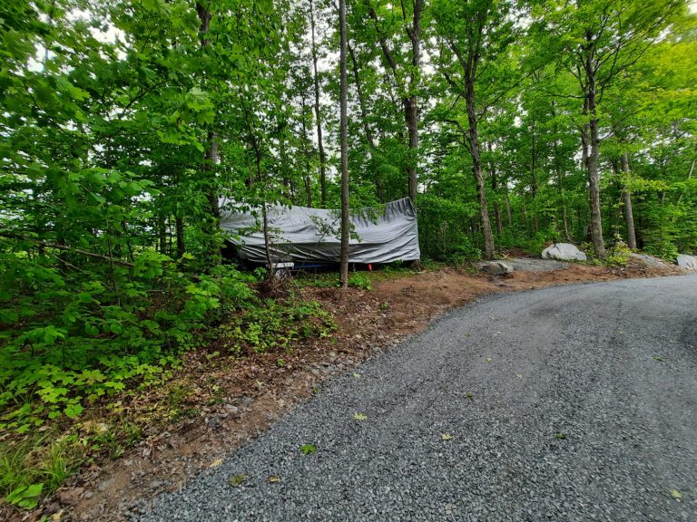 WhatsApp Image 2021-06-05 at 2.30.56 PM