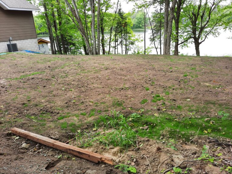 WhatsApp Image 2021-06-05 at 2.41.44 PM